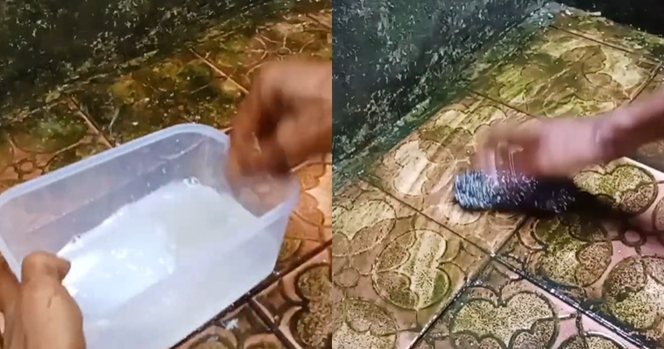 Tanpa diolesi sitrun, trik pria basmi noda lumut di keramik kamar mandi ini ampuh pakai 2 bahan dapur