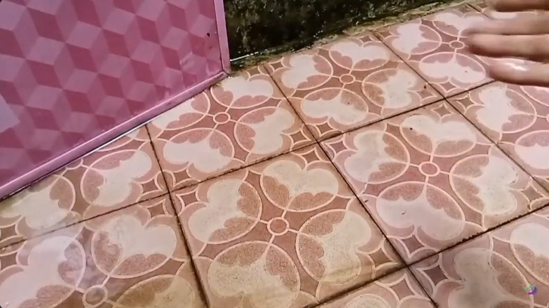 Tanpa diolesi sitrun, trik pria basmi noda lumut di keramik kamar mandi ini ampuh pakai 2 bahan dapur