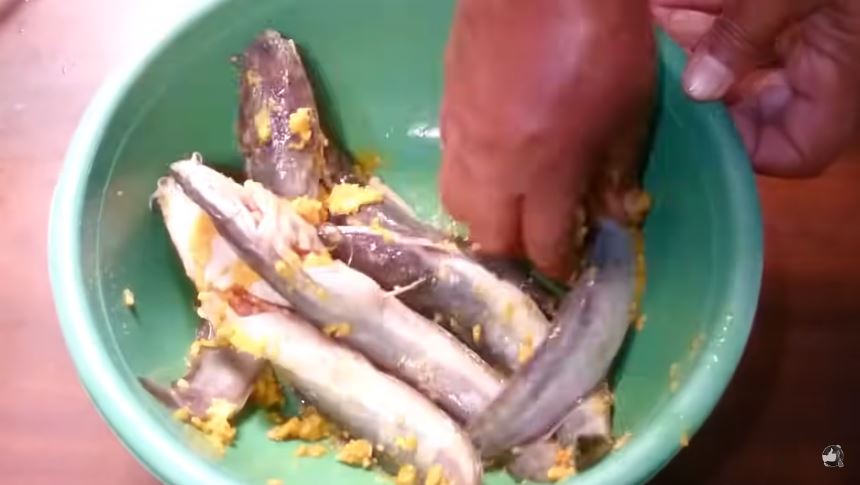 Tanpa dibalur tepung, ini trik goreng lele agar bumbu meresap, bentuknya lurus, dan garing tahan lama