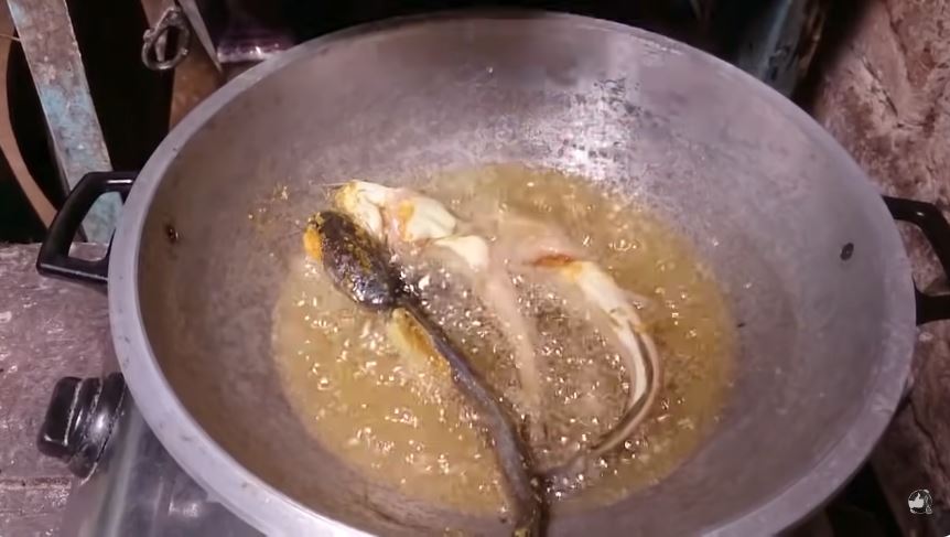 Tanpa dibalur tepung, ini trik goreng lele agar bumbu meresap, bentuknya lurus, dan garing tahan lama