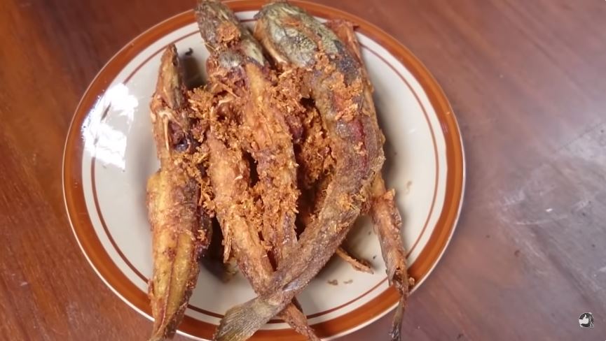 Tanpa dibalur tepung, ini trik goreng lele agar bumbu meresap, bentuknya lurus, dan garing tahan lama