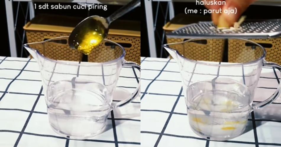 Tak perlu bikin perangkap, ini trik bikin semprotan pengusir cicak dari tambahan 2 bumbu dapur