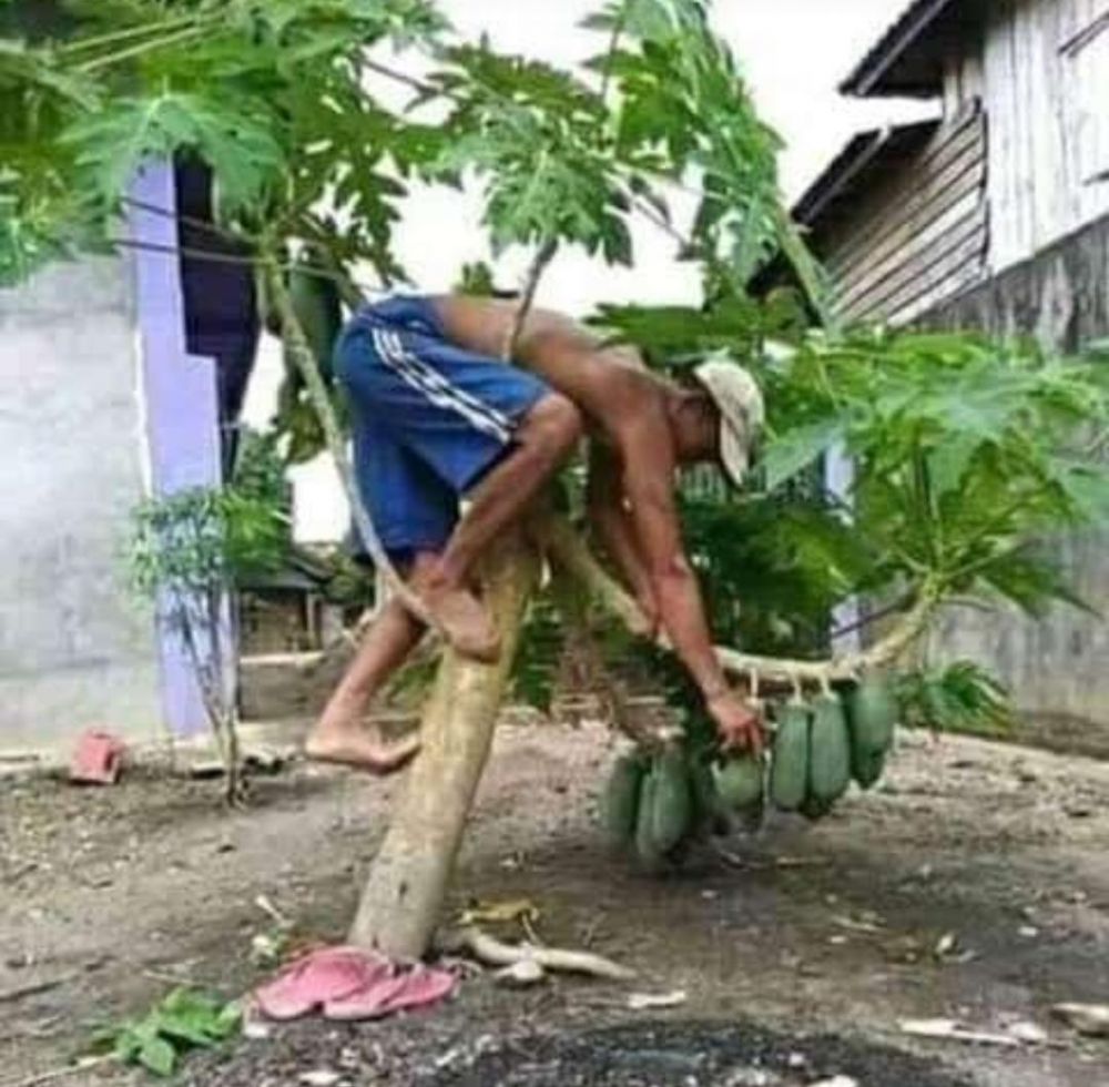 nyusahin diri nyeleneh pol berbagai sumber