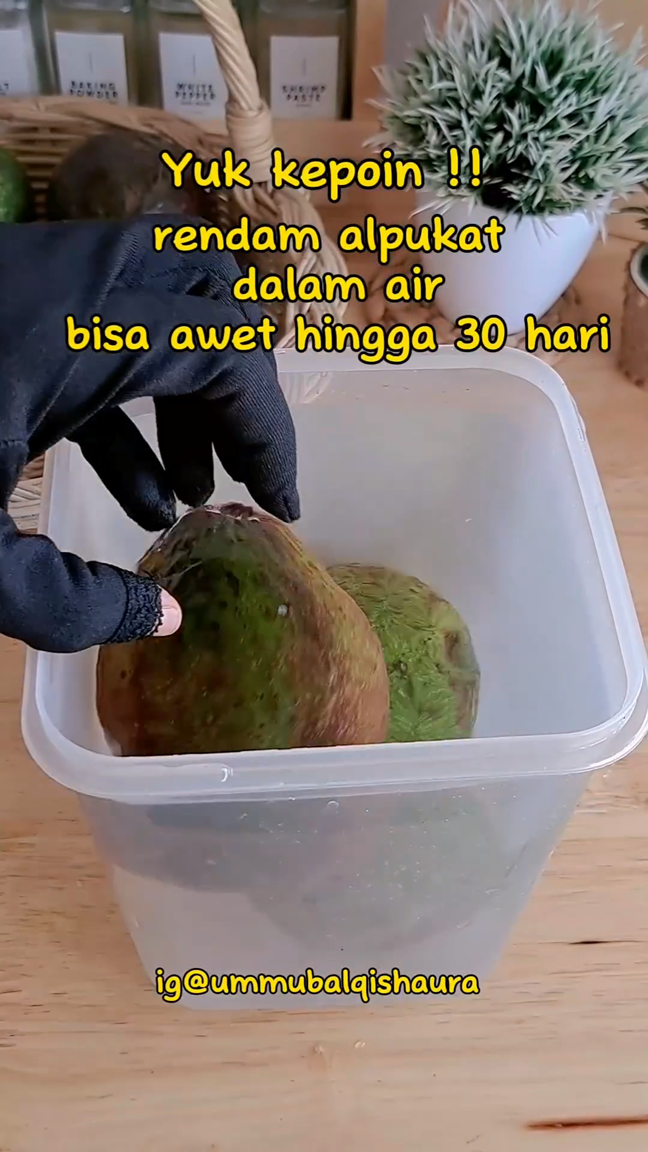 Tanpa perlu dibungkus kertas, ini cara menyimpan alpukat agar tidak busuk dan awet selama 30 hari
