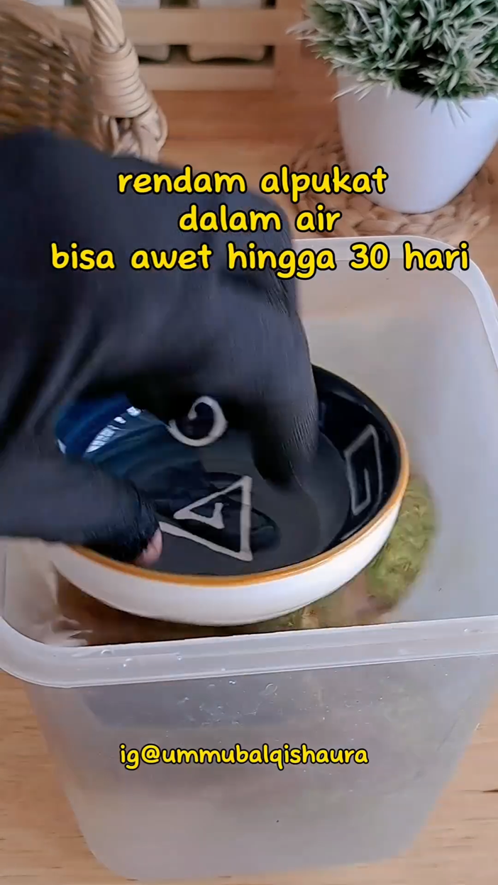 Tanpa perlu dibungkus kertas, ini cara menyimpan alpukat agar tidak busuk dan awet selama 30 hari