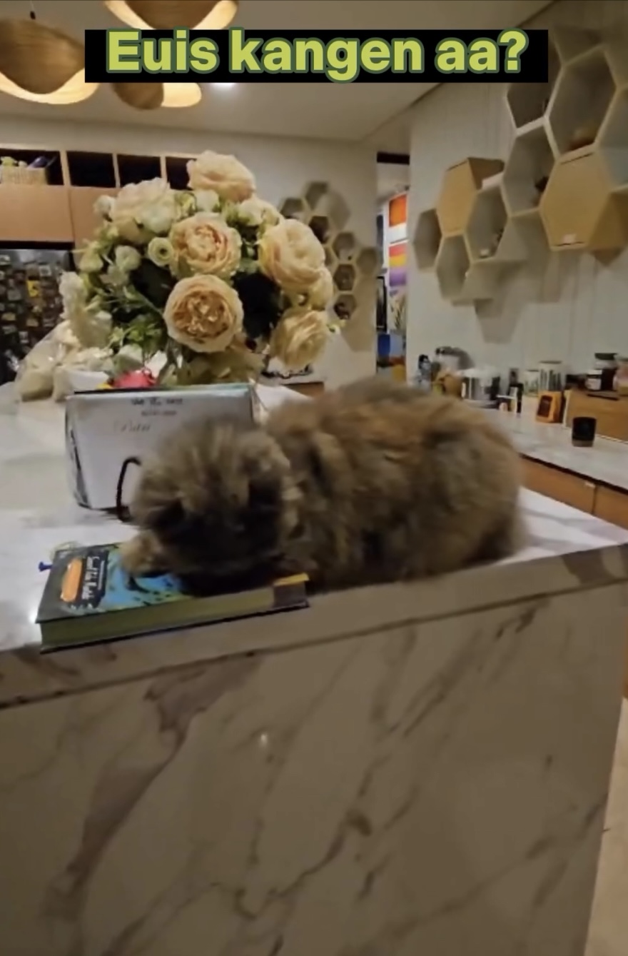 dapur rumah Ridwan Kamil Instagram dapur rumah Ridwan Kamil Instagram