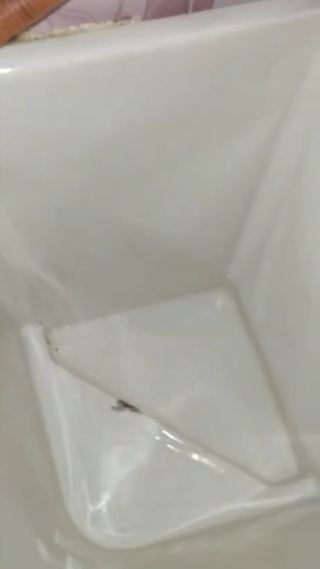 Tanpa disikat dan dicampur air panas, ini cara bersihkan kerak kuning di bak mandi pakai 1 bahan dapur