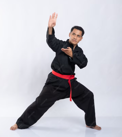 50 kata kata pesilat freepik.com