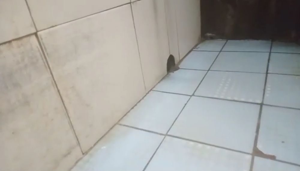 Tanpa diberi air panas, ini trik jitu hilangkan kerak keramik kamar mandi pakai tambahan 1 bahan dapur