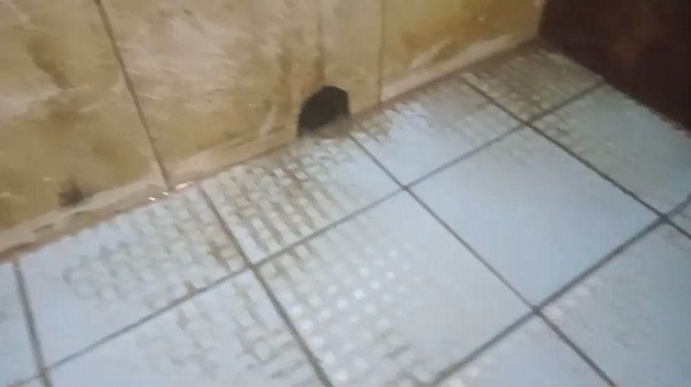Tanpa diberi air panas, ini trik jitu hilangkan kerak keramik kamar mandi pakai tambahan 1 bahan dapur