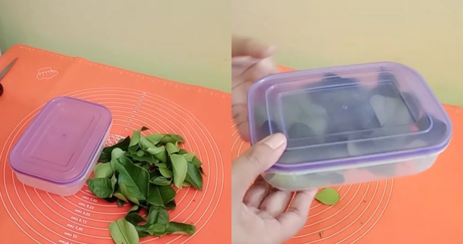 Tak perlu direndam air, ini cara menyimpan daun jeruk supaya tetap hijau dan segar berminggu-minggu