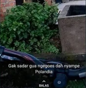 Status lucu WA pamer kebahagiaan Berbagai sumber