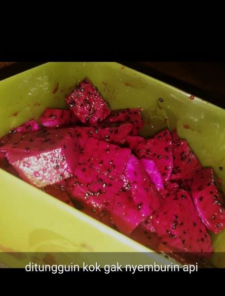 Status lucu WA pamer kebahagiaan Berbagai sumber