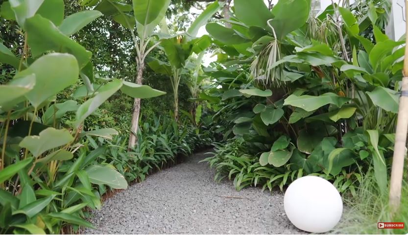 potret halaman depan sharena delon © YouTube