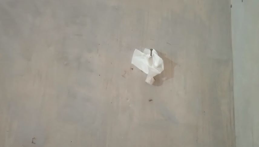 Tidak perlu bikin perangkap atau cairan khusus, ini cara mengusir cicak cuma tambah 1 bumbu dapur