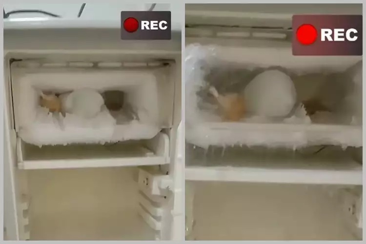 15 Cara mencairkan bunga es freezer, praktis pakai alat dan bahan sederhana