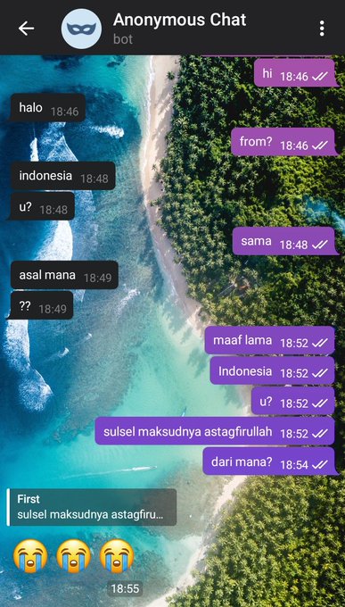 Chat lucu anonim Telegram © X