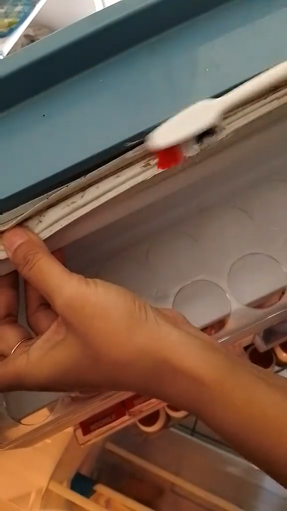 Tanpa dibongkar, ini cara bersihkan noda jamur di karet pintu kulkas pakai 1 bahan sederhana