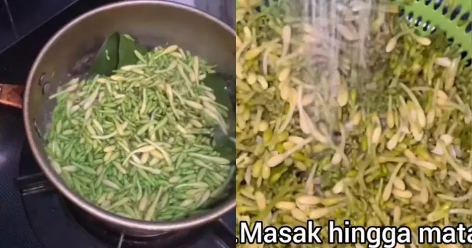 15 Cara mengurangi rasa pahit bunga pepaya, simpel pakai bahan sederhana