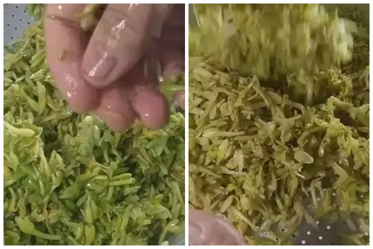 15 Cara mengurangi rasa pahit bunga pepaya, simpel pakai bahan sederhana