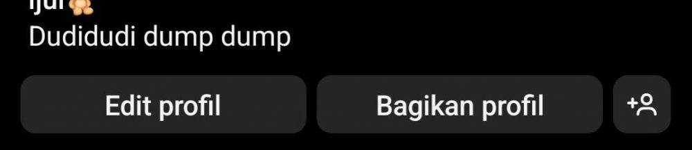 Potret kocak bio Instagram second anak zaman sekarang © X