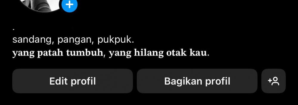 Potret kocak bio Instagram second anak zaman sekarang © X