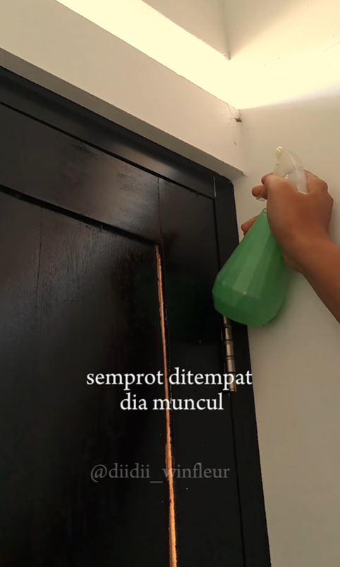 Andalkan 2 bahan dapur, emak-emak ini punya trik mengusir tokek dari rumah secara ampuh dan alami