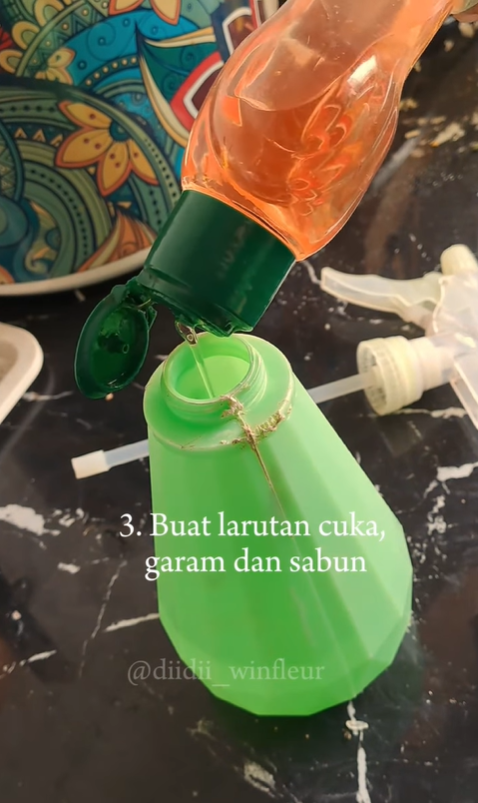 Andalkan 2 bahan dapur, emak-emak ini punya trik mengusir tokek dari rumah secara ampuh dan alami