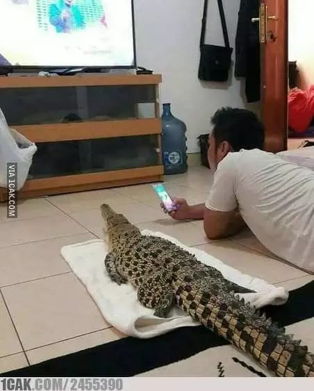 nonton tv absurd abis berbagai sumber nonton tv absurd abis berbagai sumber