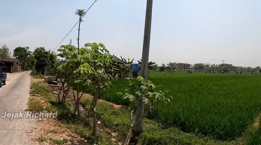 pedangdut koplo bisa bangun rumah megah © YouTube