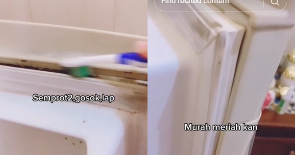 Bukan digosok pasta gigi, ini cara bersihkan karet pintu kulkas berjamur pakai 1 bahan dapur