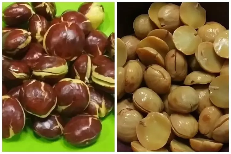 15 Cara merebus jengkol agar tak bau dan cepat empuk, praktis pakai bahan rumahan