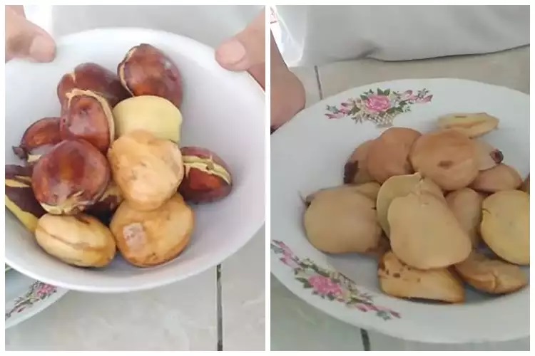 15 Cara merebus jengkol agar tak bau dan cepat empuk, praktis pakai bahan rumahan