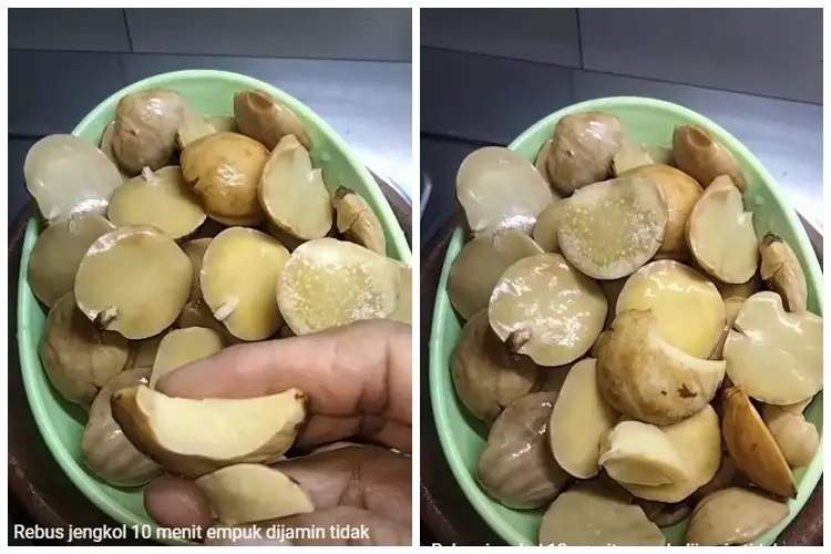 15 Cara merebus jengkol agar tak bau dan cepat empuk, praktis pakai bahan rumahan