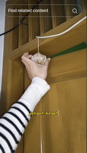 Tanpa meletakkan perangkap, ini trik agar rumah bebas cicak cuma pakai 1 bahan dapur