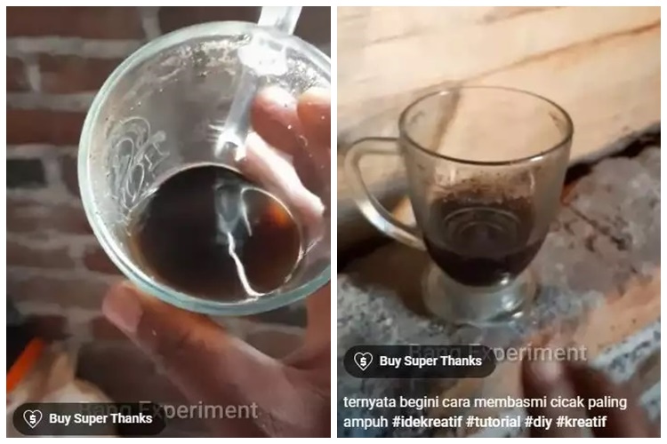 15 Cara mengusir cicak pakai alat dan bahan sederhana, mudah dan hasilnya ampuh