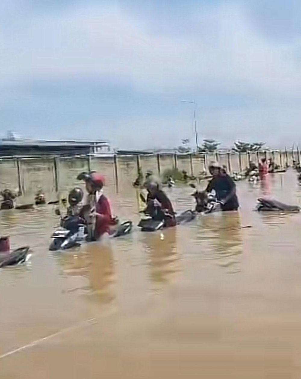 Momen apes orang naik motor © X