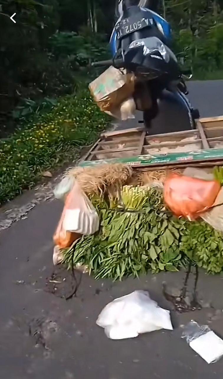 Momen apes orang naik motor © X Momen apes orang naik motor © X