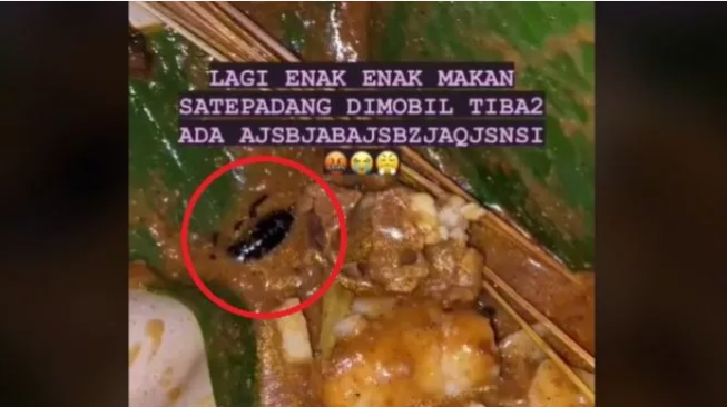 Momen apes saat makan sate © Instagram Momen apes saat makan sate © Instagram