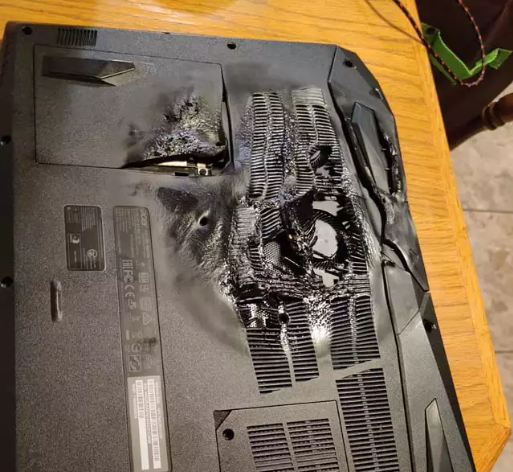 Momen apes keteledoran pemilik laptop © Instagram