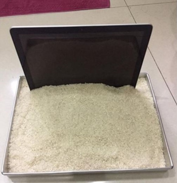 Momen apes keteledoran pemilik laptop © Instagram Momen apes keteledoran pemilik laptop © Instagram