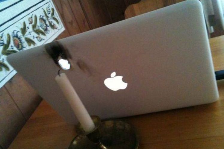 Momen apes keteledoran pemilik laptop © Instagram Momen apes keteledoran pemilik laptop © Instagram