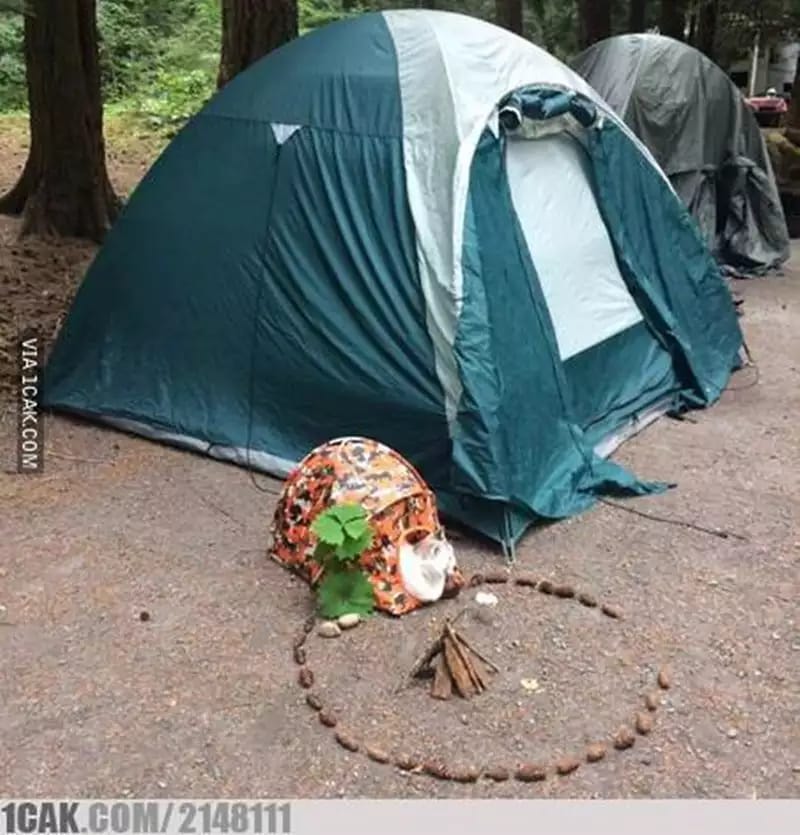 serba serbi kemah nyeleneh berbagai sumber