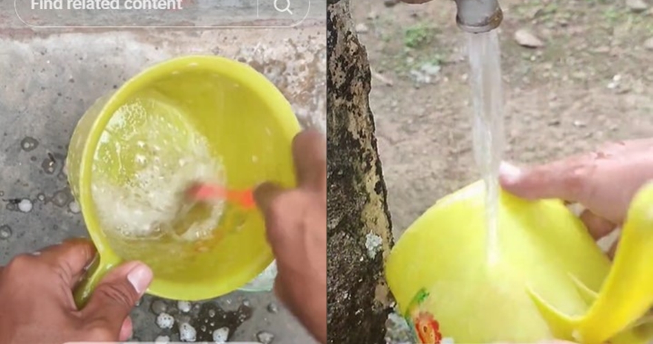 Tanpa gunakan detergen, ini cara hilangkan noda lumut pada gayung cukup tambah 1 bahan dapur