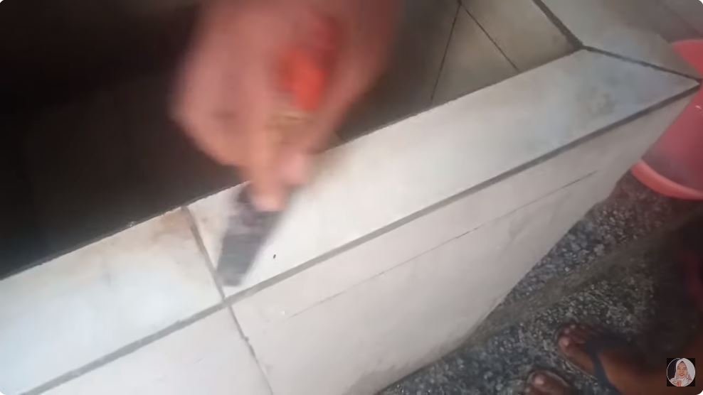 Cuma modal Rp2.000-an, ini cara usir kerak hitam di keramik kamar mandi cukup tambah 1 bahan dapur