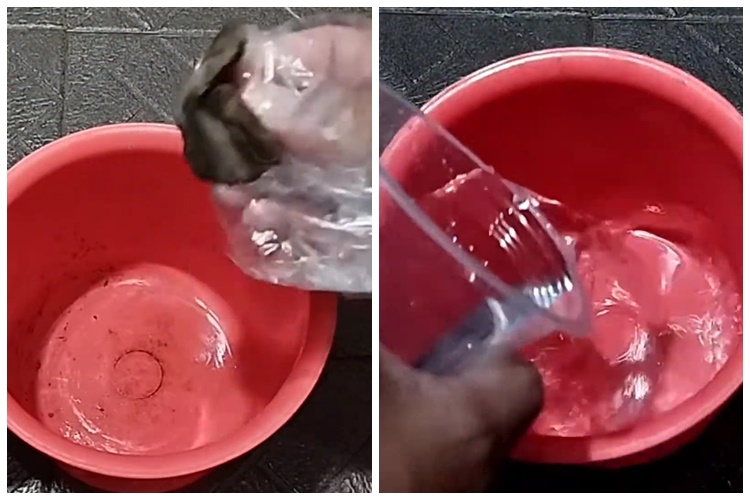 Tanpa disikat dengan sitrun, begini trik mudah bersihkan gayung berlumut cuma pakai 1 bahan dapur