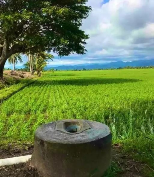 Potret kocak WC view pemandangan Berbagai sumber