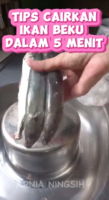 Cuma butuh 5 menit, ini cara cepat cairkan ikan beku dari freezer tanpa air panas dan cuka