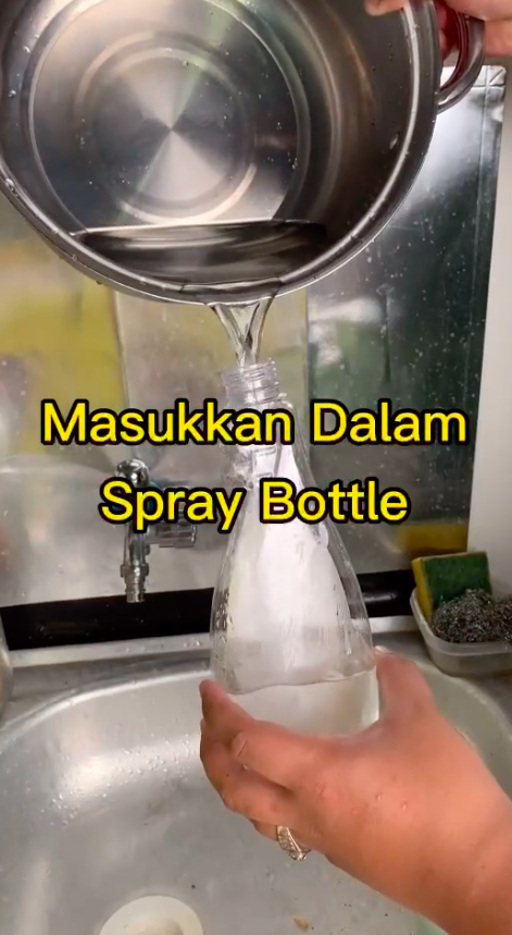 Tak perlu kapur ajaib maupun tepung maizena, ini trik ampuh mengusir semut cuma pakai 1 bumbu dapur