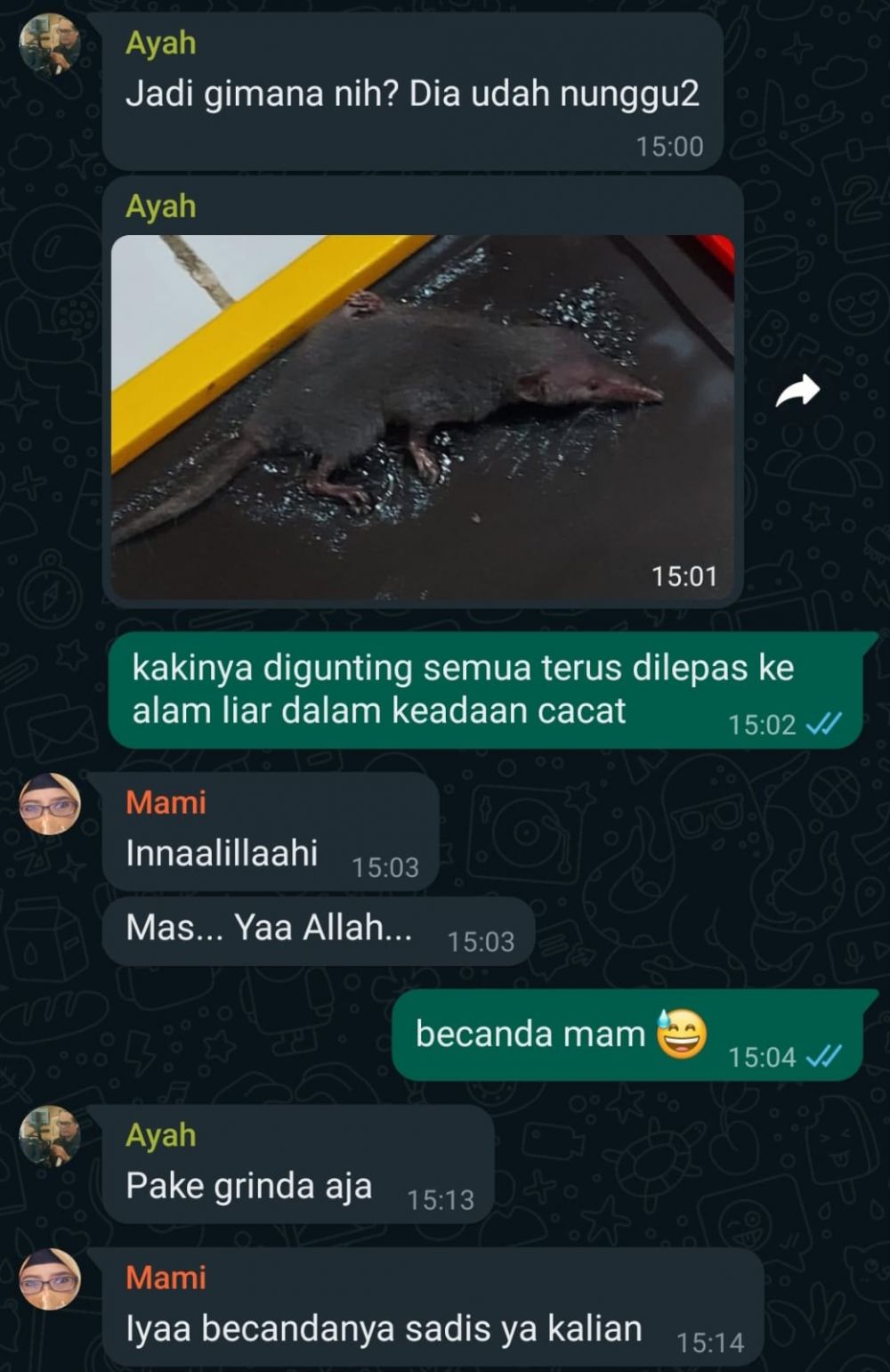 chat grup keluarga kocak berbagai sumber